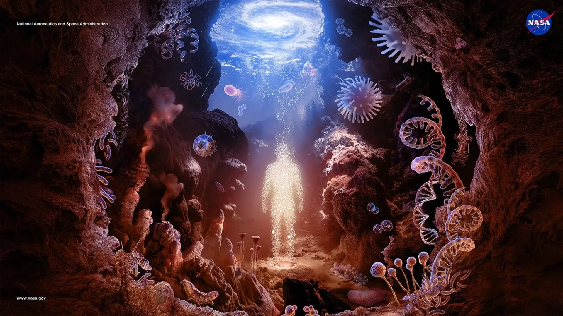 NASA Study Challenges Theories on Where the Ingredients for Life Came From