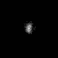 Neptune’s Weirdest Moon Nereid Might Be the Lone Survivor of an Ancient "Moonpocalypse"