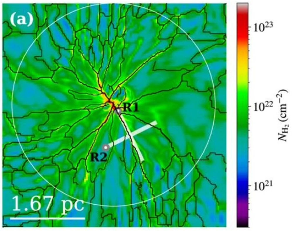 The Filamentary Funnels That Form Stars