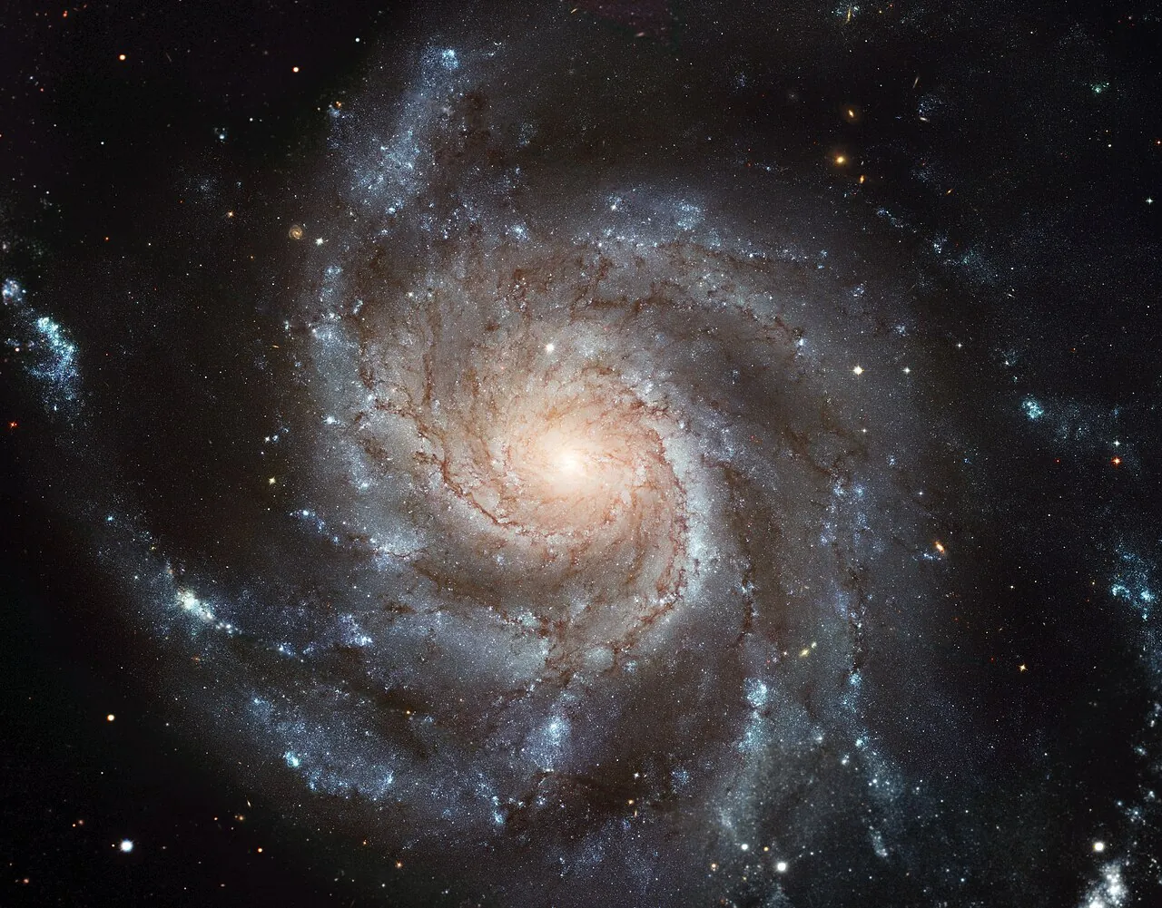 The Galaxy That Forgot to Spin