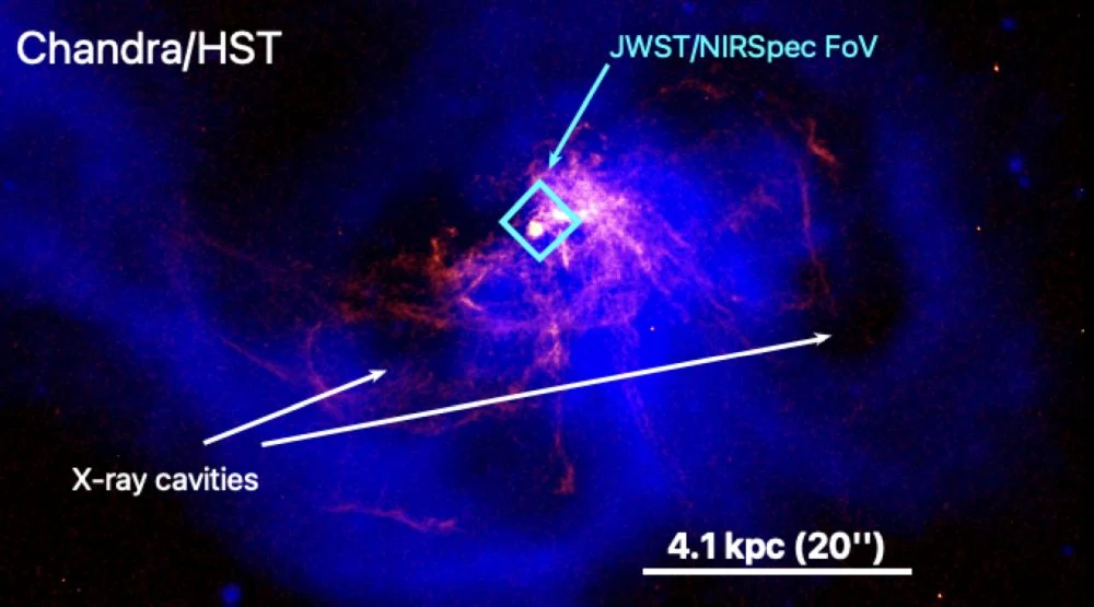 This is How Supermassive Black Holes Feed Themselves